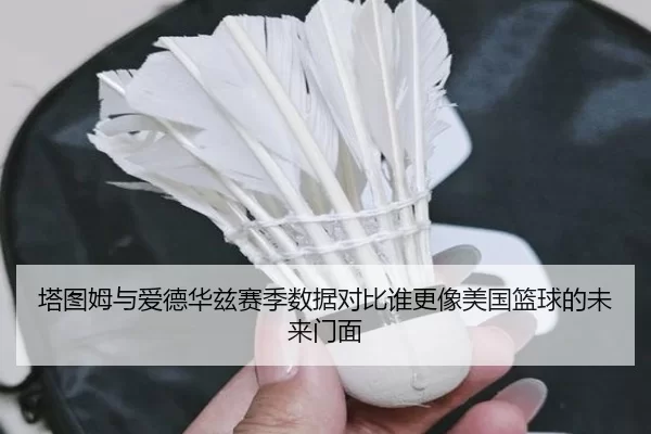 塔图姆与爱德华兹赛季数据对比谁更像美国篮球的未来门面